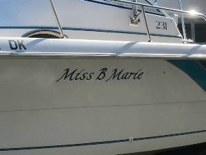 1995 Proline 231 WA Boat Lettering from Mark T, FL